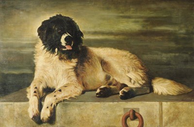 Lot 906 - Circle of Henri Schouten (1864-1927) A Landseer Newfoundland laid upon a Stone Quayside Signed, oil