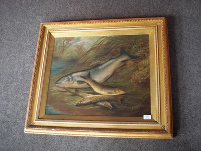 Lot 910 - Jennie Ashton Hackett (ex.1898-1906) Still Life of Fish upon a Riverbank Signed, oil on canvas,...