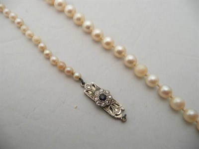 Lot 59 - Strand of cultured pearls with a sapphire and diamond-set clasp (a.f.)