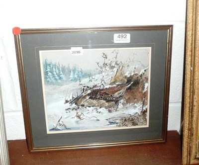 Lot 492 - Jan Bowles, framed watercolour of a Snipe