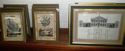 Lot 540 - Six gilt framed prints of flowers (originally book plates), a framed print and five gilt framed...