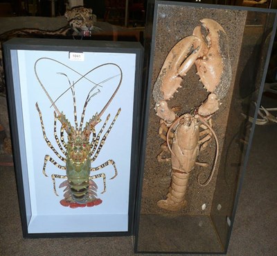 Lot 1041 - A Taxidermy Lobster, contemporary, signed JFT on a shell on the sanded background, within...