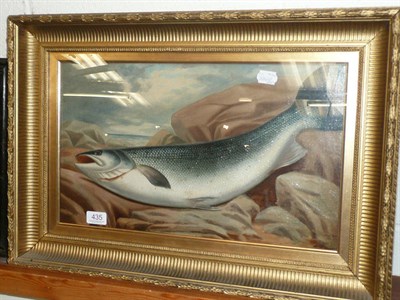 Lot 435 - Oil on canvas of a salmon, signed G M Rennie