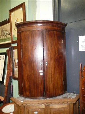 Lot 502 - Georgian mahogany bow-fronted hanging corner cupboard