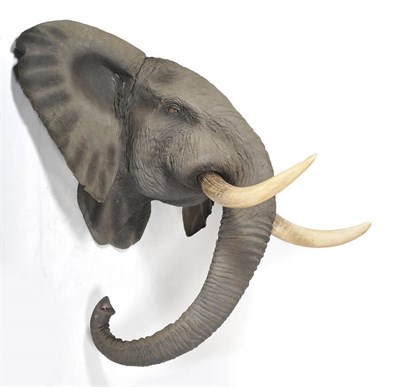 Lot 1096 - Elephant, bull, fibreglass head mount, 251cm high, 205cm from the wall, 290cm wide (approx)