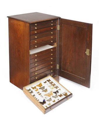 Lot 1097 - A Victorian Walnut Butterfly Cabinet of Thirteen Drawers, circa 1890, of square section, the richly