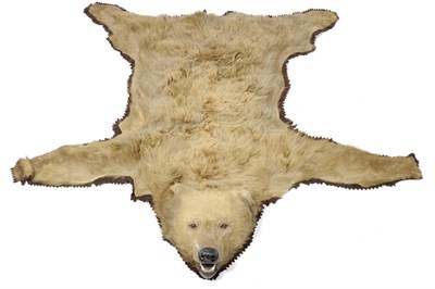 Lot 1117 - Kodiak Bear (Ursus arctos middendorffi), circa 1913, by Rowland Ward, rug with head mount, the...