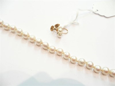 Lot 342 - String of cultured pearls, 9ct gold clasp and a pair of cultured pearl earrings