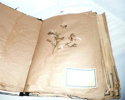 Lot 387 - A Continental pressed flowers album, south of France