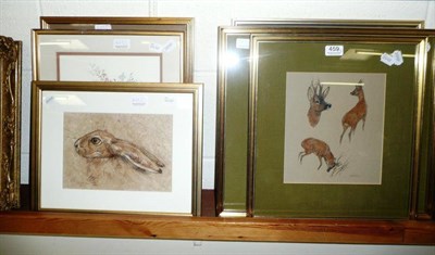 Lot 459 - Seven pictures including studies of deer, hare, watercolour of flowers and a pair of...