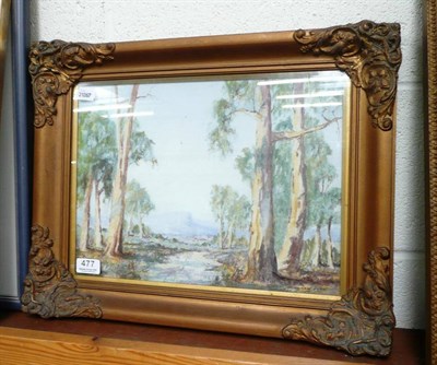 Lot 477 - Oil painting Cootamundra Gums by Andrew Park