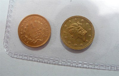 Lot 228 - Two 19th century gold dollar coins