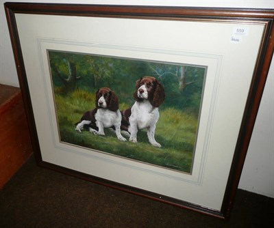 Lot 559 - John Lewis Fitzgerald, two spaniels against undergrowth bodycolour (gouache)