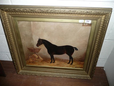 Lot 566 - Gilt framed oil of a bay hunter in a stable 'Peggie' signed A Bryant 1882