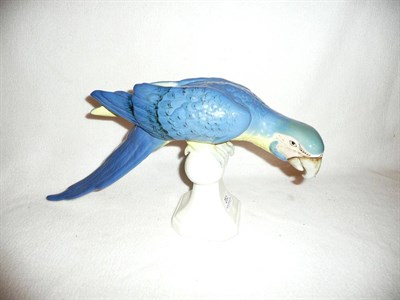 Lot 251 - A Royal Dux parrot