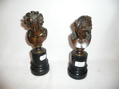 Lot 327 - Pair of bronze busts on ebonised bases