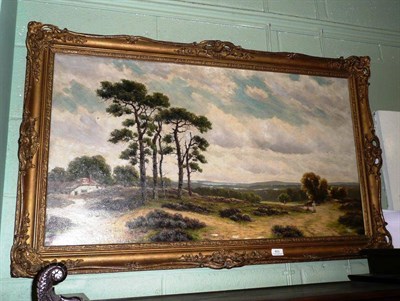 Lot 401 - Gilt-framed oil on canvas of Scotch Pines by Richard William Halfknight