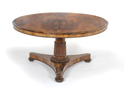 Lot 1489 - A William IV Rosewood Circular Breakfast Table, the moulded edge on a tapering lotus carved support