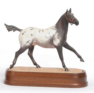 Lot 55 - A Royal Worcester Porcelain Appaloosa Stallion, modelled by Doris Lindner, No.985, 1969,...