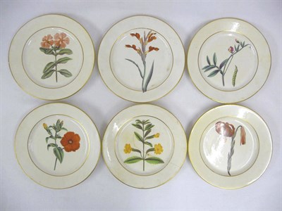 Lot 107 - A Set of Six English Porcelain Botanical Dessert Plates, circa 1810, circular, each painted in...