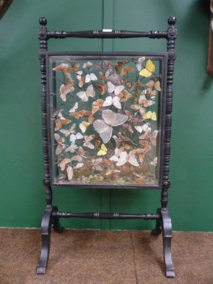 Lot 704 - A Glazed Firescreen Display of Butterflies, circa 1880, the various foreign species arranged on...