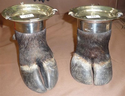 Lot 721 - A Pair of Cape Buffalo Taxidermy Foot and Silver Plate Mounted Ashtrays, 19cm high