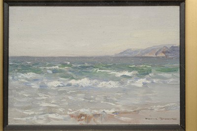 Lot 896 - Alfred J. Warne Browne (d.1915) "Sea Study" Signed, inscribed on an old label verso, oil on...