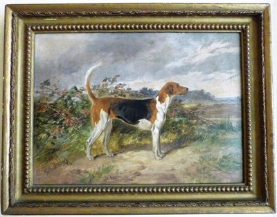 Lot 925 - James Walsham Baldock (1822-1898) Fox Hound "Gladsome" Signed and inscribed Sketch by J Baldock and