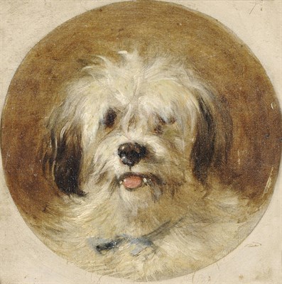 Lot 926 - Thomas Earl (fl.1836-1885) "Daisy", study of a terrier Inscribed and indistinctly signed on the...