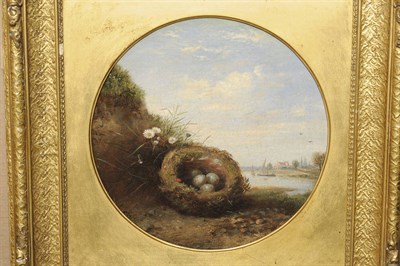 Lot 937 - English School (19th century) Still Life of a Bird's Nest and Eggs beside a Mossy Bank with Flowers