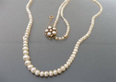 Lot 602 - A Pearl Necklace, the one hundred and ninety-nine pearls graduate from 5mm to 2mm and are strung to