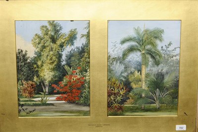 Lot 782 - English School (19th/20th century) "The King's House Gardens, Jamaica" Inscribed on the...