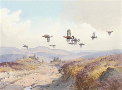 Lot 794 - John Cyril Harrison (1898-1985) "The High Moors" grouse in flight Signed, inscribed on an...