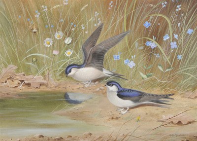 Lot 795 - Philip Rickman (1891-1982) "House Martins" Signed and dated 1959, inscribed on an exhibition...