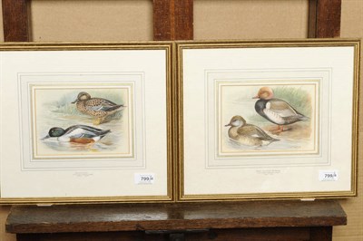 Lot 799 - Lillian Medland (1880-1955) "Red Crested Pochard"; "Shoveller" Both signed, inscribed on the mounts