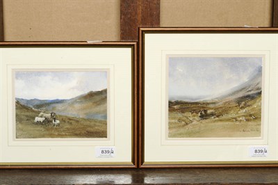 Lot 839 - Brian Irving (20th/21st century contemporary) Study of a Ewe and Lambs in a Mountain Pasture; Sheep