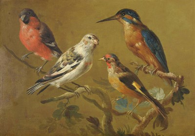 Lot 856 - Attributed to Philip Reinagle (1749-1833) Bullfinch, Chaffinch, Goldfinch and Kingfisher upon a...