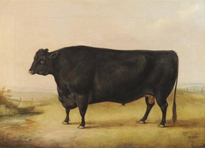 Lot 979 - William Henry Davis (1786/95-1865) "Galloway Bull" Signed and dated 1840, extensively inscribed...