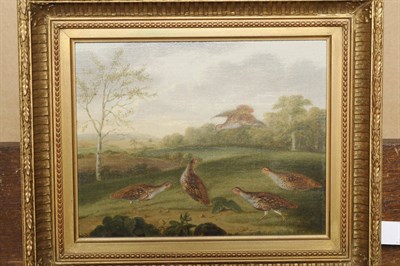 Lot 982 - George Stevens (c.1790-c.1865) Partridges in a Landscape Oil on canvas, 20.5cm by 25.5cm  Said...