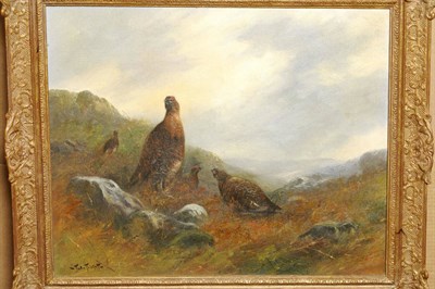 Lot 983 - John Trickett (b.1951)  Grouse on a Moor Signed, oil on canvas, 51.5cm by 61.5cm  Trickett...