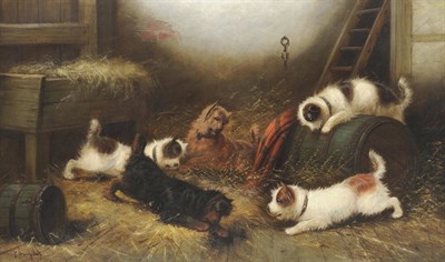 Lot 988 - Edward Armfield (1817-1896) Five Terriers in a Stable Signed, oil on canvas, 76.5cm by 127cm