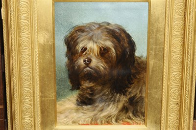 Lot 989 - Attributed to Gourlay Steell R.S.A. (19th century) Study of a Yorkshire Terrier Bears the...