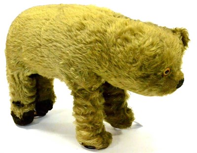 Lot 349 - Bear With Sprung Feet plush covered with glass eyes 18";, 46cm long (G-F, damage to feet)