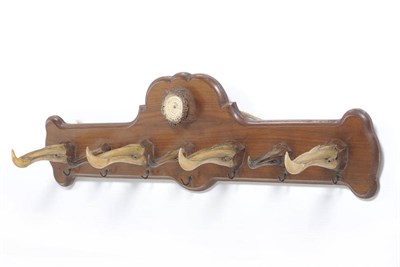 Lot 1164 - An Albatross Beak Mounted Walnut/Oak Rack, circa 1880, the seven variously sized beaks (ranging...