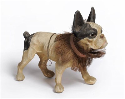 Lot 192 - A Papier-Mache French Bulldog Growler Toy, with nodding head, working chain operated growler...