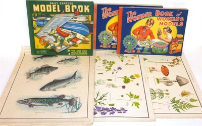 Lot 75 - Three Unmade Cardboard Model Books - two Wonder Books of Working Models and Daily Express Model...