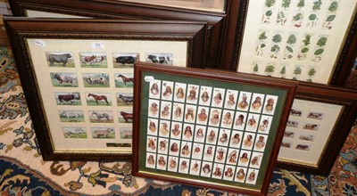 Lot 294 - Five Framed Sets of Cigarettes and Trade Cards, comprising Players - British Livestock &...