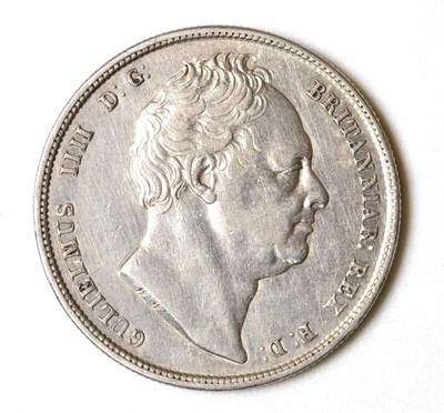 Lot 50 - William IV (1830-1837), halfcrown, 1836, bare head r., (S.3834). Wiped or lightly cleaned, good...