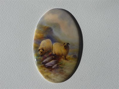 Lot 28 - A Royal Worcester Porcelain Sheep Painted Oval Plaque, Ernest Barker, 1926, painted with two...