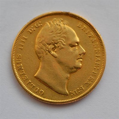 Lot 204 - William IV Sovereign 1831,  1st bust, WW without stops, traces of edge mount at 11, 12 & 1...